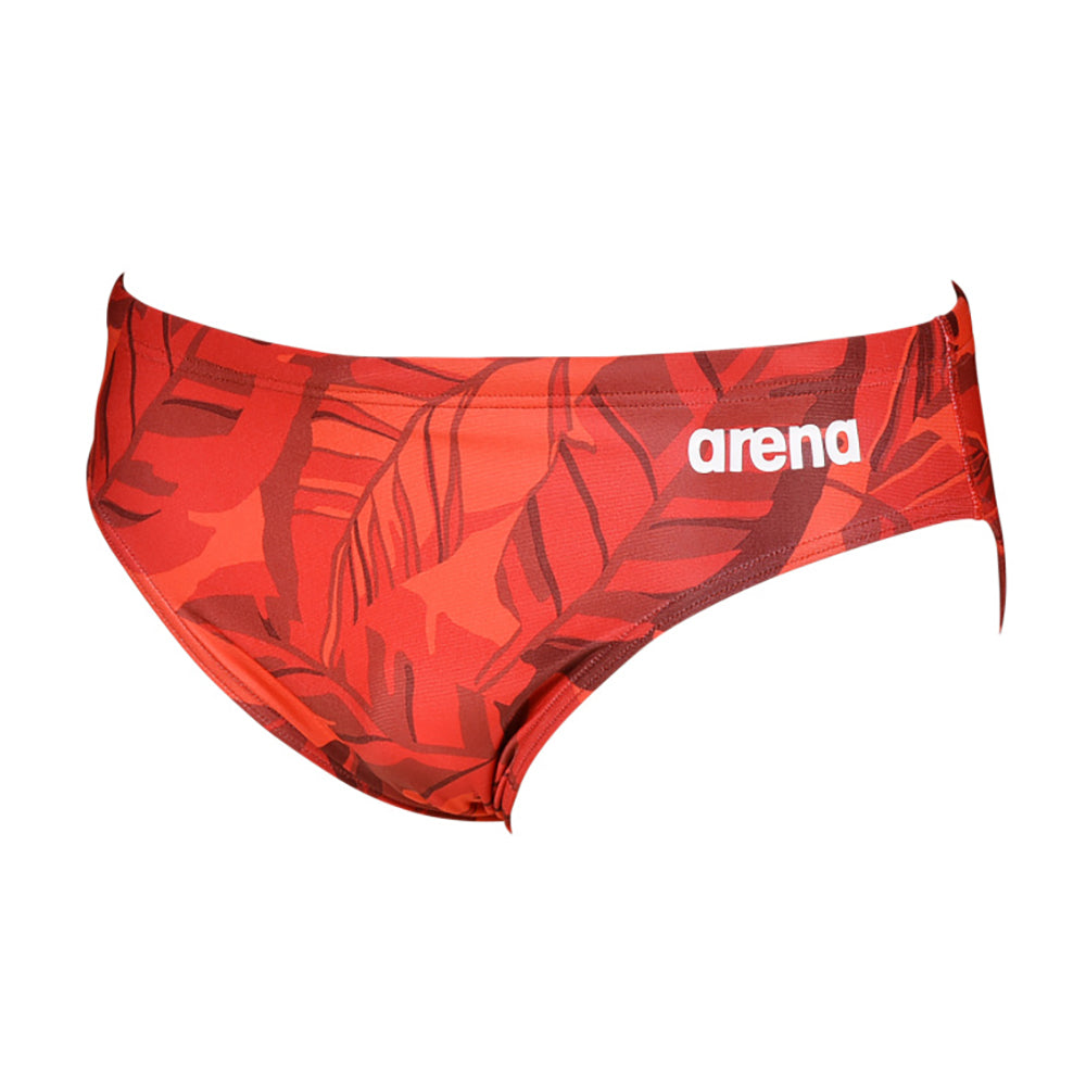 Arena Tropicals Brief