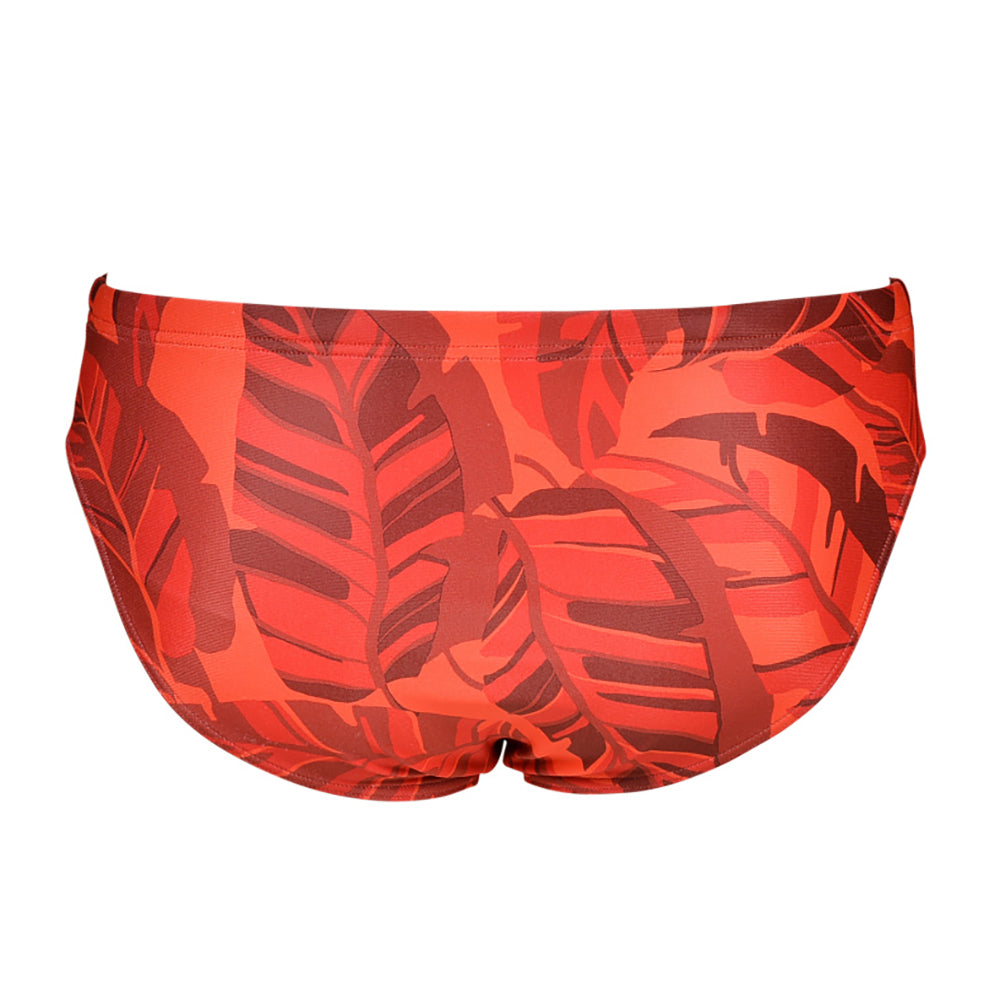 Arena Tropicals Brief