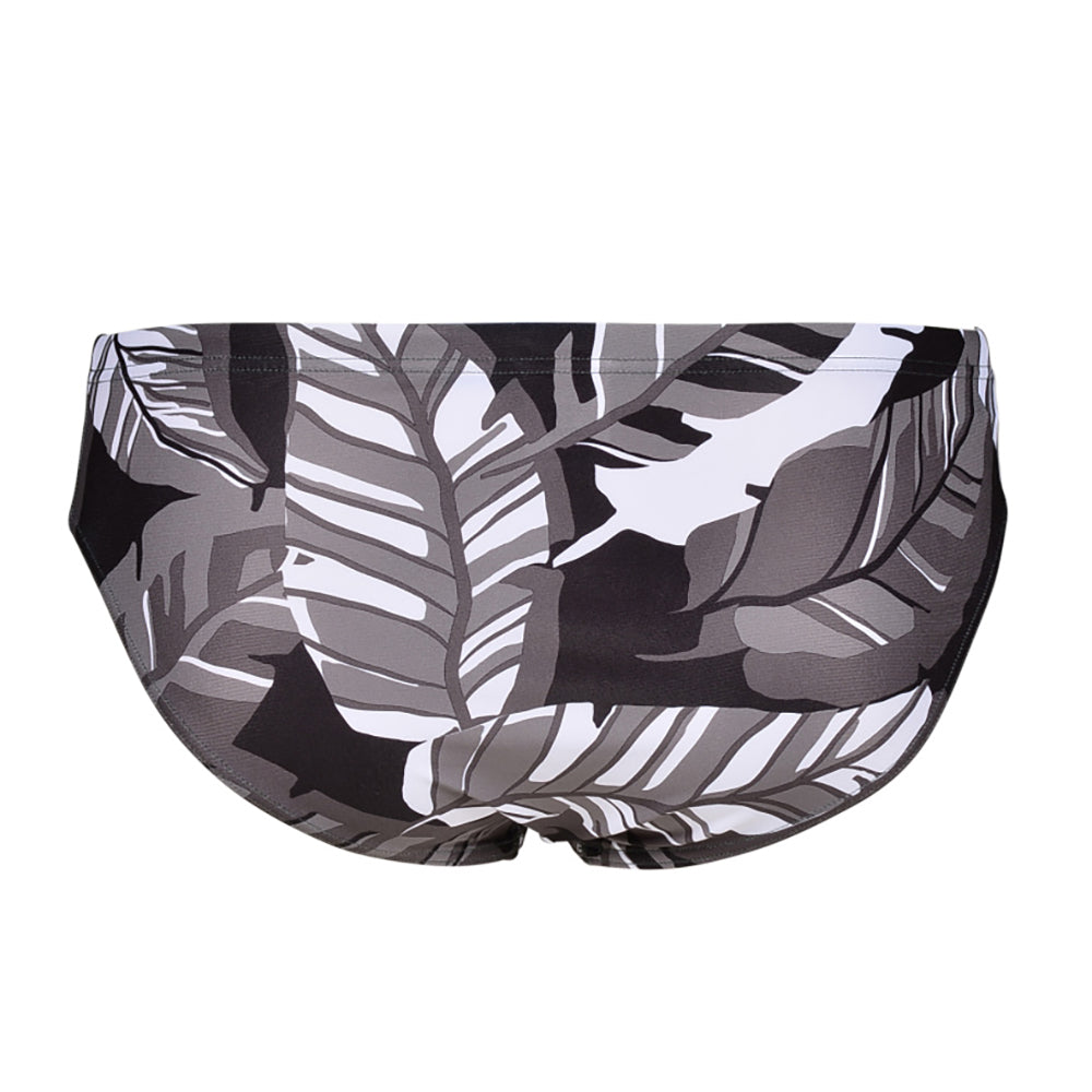 Arena Tropicals Brief