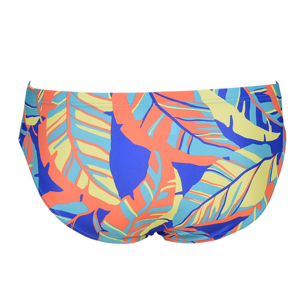 Arena Tropicals Brief