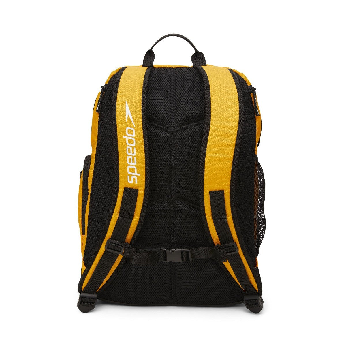 Speedo Teamster 2.0 Backpack