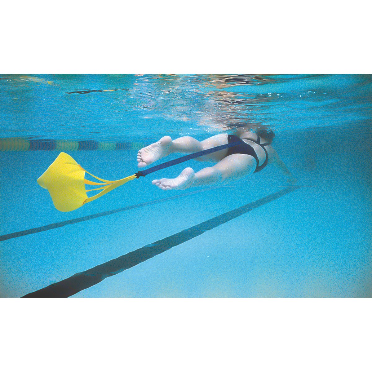 Strechcordz Drag Belt/Tow Tether